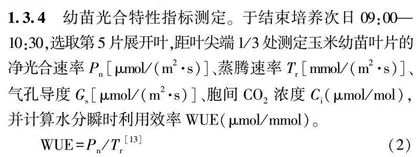 外源贝莱斯芽孢杆菌对玉米种芽萌发·幼苗生长与光合系统的影响