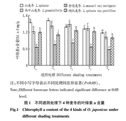 不同遮阴处理对4种麦冬光合特性的影响