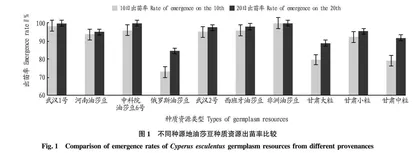 民勤荒漠区油莎豆种质资源筛选研究