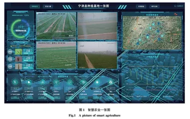 小麦生长监测大数据平台系统开发和应用