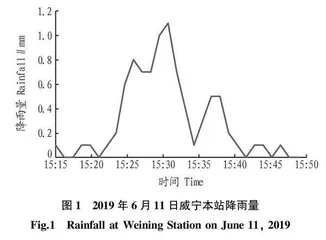 基于风廓线雷达产品的冰雹过程分析