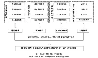 “金课”视域下微生物学课程“四位一体”教学模式改革与实践