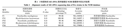 根际细菌对番茄幼苗生长的影响
