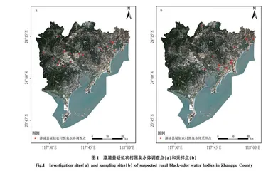 漳州市漳浦县农村黑臭水体现状研究