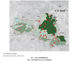 东莞市大岭山大型真菌资源多样性研究