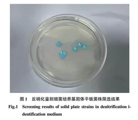 耐高温异养硝化-好氧反硝化菌的分离鉴定及其脱氮特性研究