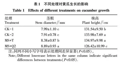 土壤熏蒸处理后产紫篮状菌对黄瓜促生效果研究