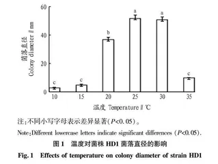 绿色木霉的生物学特性及对盐胁迫下玉米幼苗生长的影响