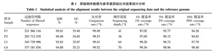 基于BSA-seq技术挖掘番茄耐裂果候选基因