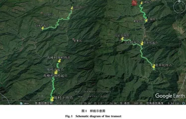 江山仙霞岭省级自然保护区鸟类生物多样性及保护策略研究