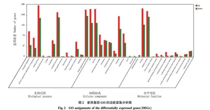 基于RNA-Seq技术对不同品种猪排卵前卵泡差异表达基因的筛选与注释