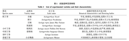 8种丁香在杭州地区的生态适应性研究