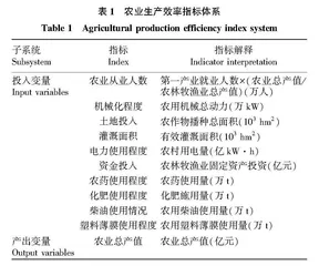 农村人口老龄化对农业生产效率的影响研究