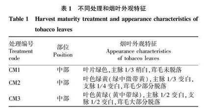 采收成熟度对雪茄茄衣烟叶晾制质量的影响