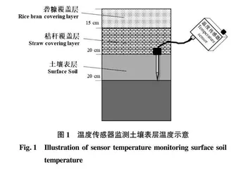 不同秸秆覆盖方式调控地温对雷笋产量和经济效益的影响