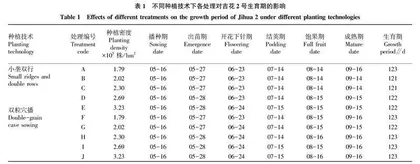 种植技术和种植密度对吉花2号主要农艺性状和产量的影响 