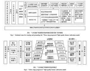乡村振兴背景下“三阶递进”模式在农民培育中的构建和应用