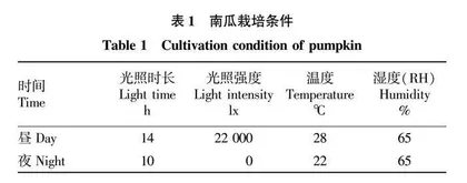 干旱胁迫下南瓜CmGolS1表达量及相关生理指标的变化