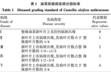 4种抑菌剂对油茶炭疽病和软腐病的防效