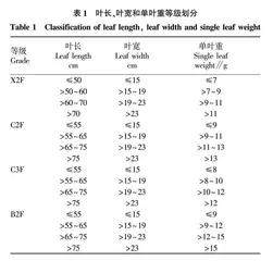 不同叶长•叶宽和单叶重对广元烤后烟叶质量的影响