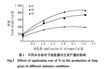 水氮耦合对王草产量和品质的影响 