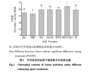不同强化剂强化德国景天提取土壤镉和铅研究