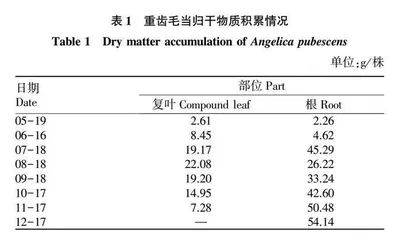 鄂西产区重齿毛当归需肥规律与采收期研究