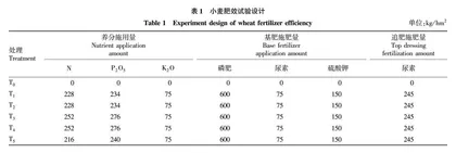 不同磷酸二铵对冬小麦产量•经济效益和土壤特性的影响