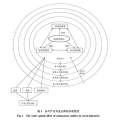 内生性发展理论视域下乡村产业发展的实践进路