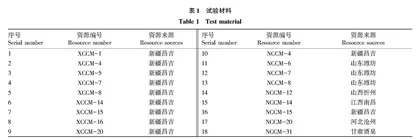 18份甜瓜资源农艺性状调查