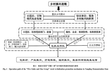 多元主体协同参与全面推进乡村振兴的地方实践