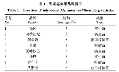 不同品种嘉宝果在粤东北山区的引种适应性研究