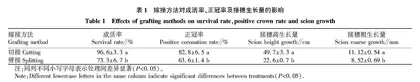杉木种子园冬季嫁接技术研究