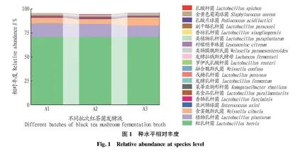 红茶菌发酵液宏基因组分析