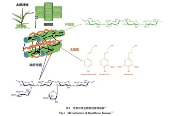 秸秆膨化技术及高效应用的研究