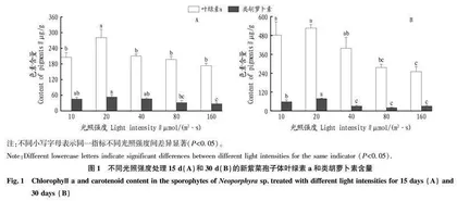 不同光照强度对一种新紫菜孢子体的光合色素和叶绿素荧光参数的影响
