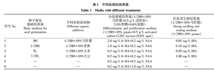 3种石斛种子无菌播种快繁技术