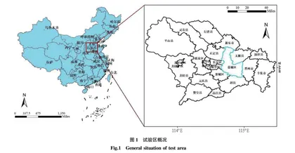 绿豆-谷子轮作模式的产量与经济效益研究