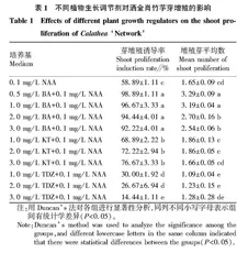 洒金肖竹芋离体快繁体系的建立