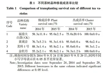 3个高香型茶树品种在陕西汉中地区的适应性研究