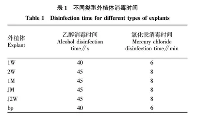 高山杜鹃组培快繁关键技术研究
