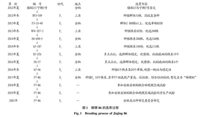 优质高产晚粳新品种稼粳86的选育与应用 