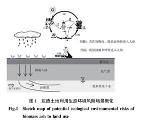 生物质电厂灰渣理化特性及土地利用潜在生态环境风险评价