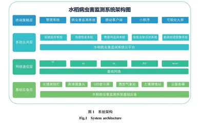 基于计算机视觉的水稻病虫害监测平台研发