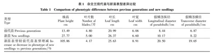 烯效唑对杂交兰苗期植株的矮化效应研究 