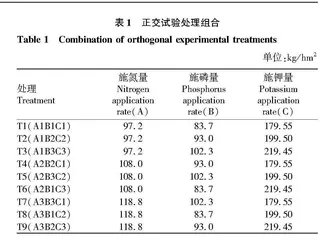 不同氮磷钾肥配施对洛南烟区云烟99产质量的影响