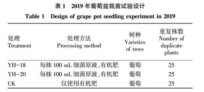 2株贝莱斯芽孢杆菌对葡萄幼苗生长及土壤质量的影响