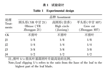 适合机械化移栽甘蓝幼苗叶片剪除量研究 