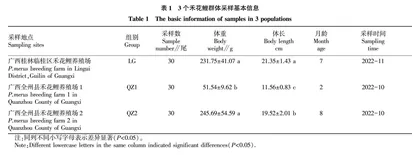 广西禾花鲤肌肉营养成分分析与品质评价