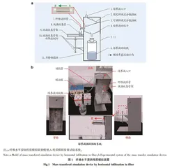 植物纤维对MS培养液中烟酸和维生素B<sub>6</sub>的水平浸润传质效应